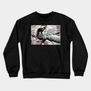 Pérou - Paracas - Les îles Ballestas Crewneck Sweatshirt